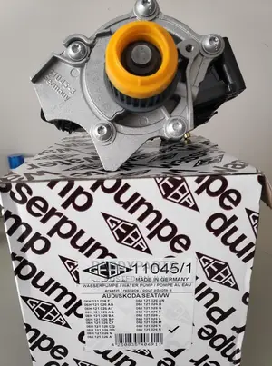 Volkswagen Passat 2013-2022 Water Pump