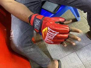 Everlast Ufc Fighting Gloves