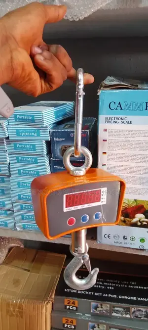 Heavy Duty Crane Digital Scale 500kg