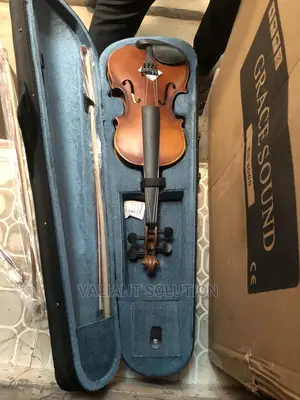 Violin Instrument