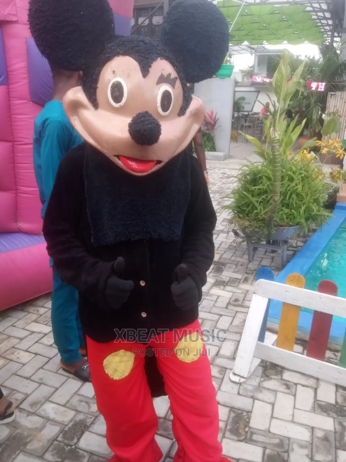 Mickey Mouse Barney Costume