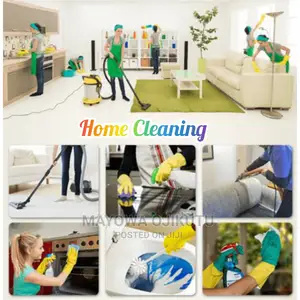 Professional Home Cleaning Services