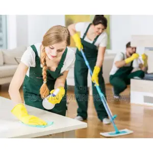 Professional Home Cleaning Services