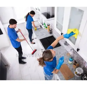 Professional Home Cleaning Services