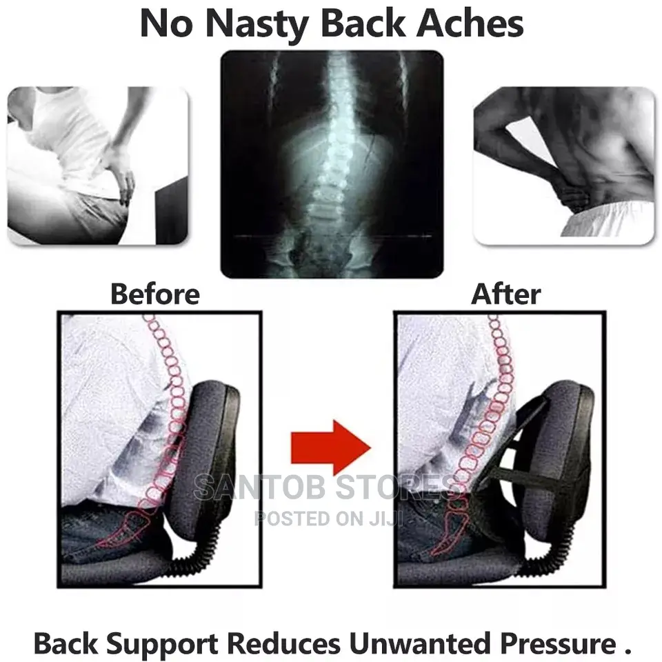 Seat Back Support
