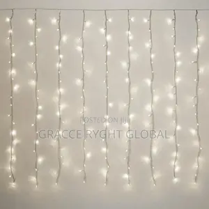 Water Fall / Curtain Led Lights