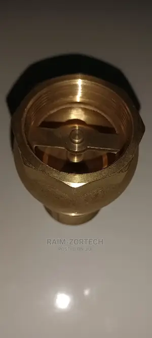 2" Brass Foot Valve for Water Pump.