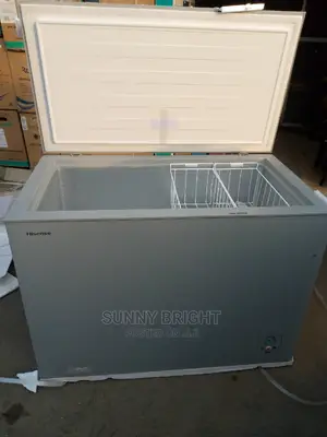 Hisense Deep Freeze 300liters