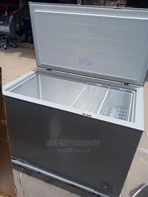 Hisense Deep Freezer 250lites