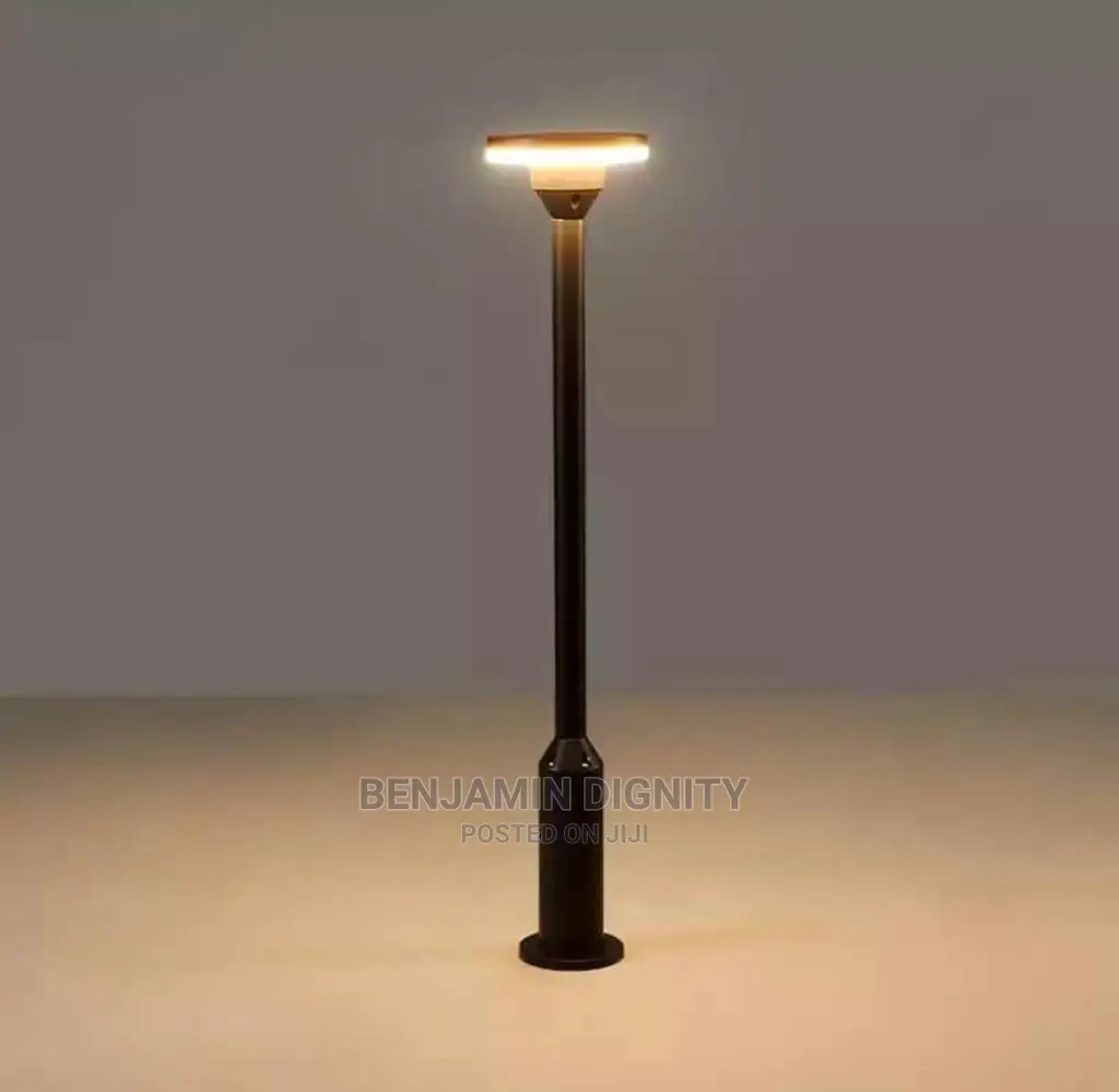 Led Walk Way/Garden Light