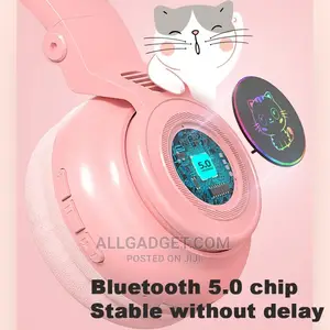 Cat Headset