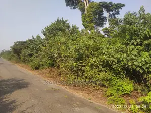 5000 Acres of Land for Lease Per Acre Per Annum