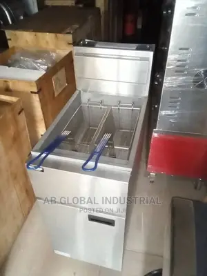 Standing Deep Fryer 40litrs
