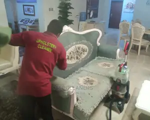 Best Sofa/Upholstery Cleaning Company