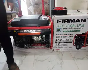 Automatic 8990es Generator Firman