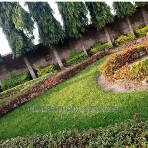 Green Landscape