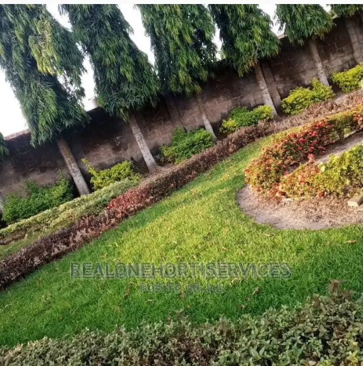 Green Landscape