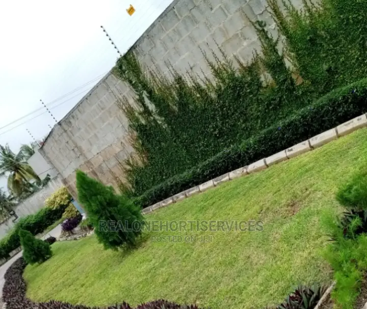 Green Landscape