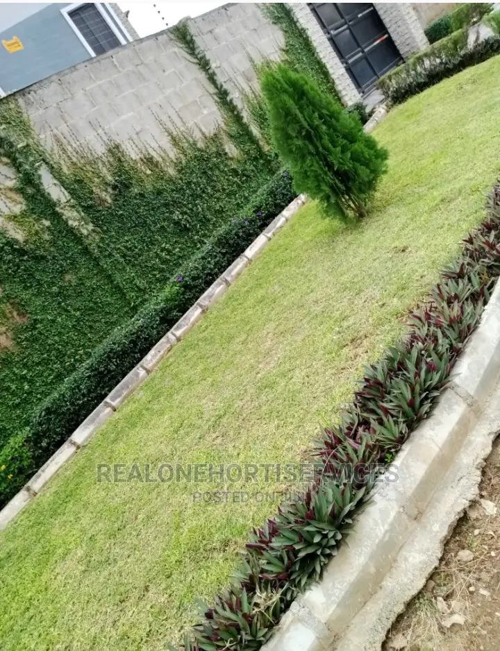 Green Landscape