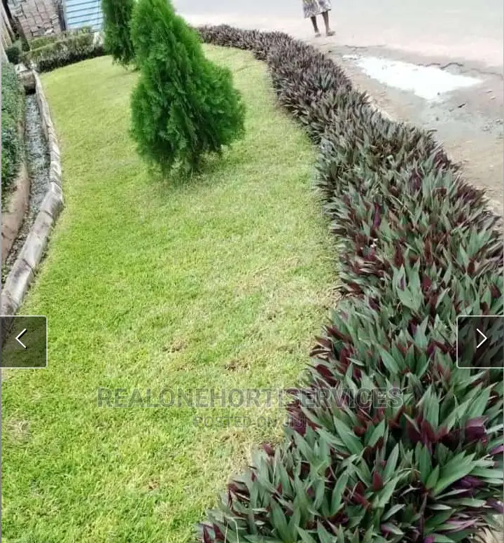 Green Landscape