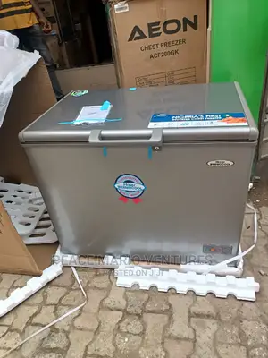 Original Thermocool Deep Freezer 319 Inverter With Warranty