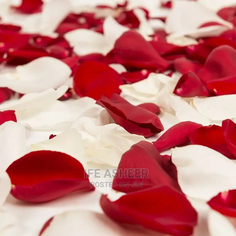 Red and White Petals - 300pcs