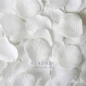 White Petals - 300pcs