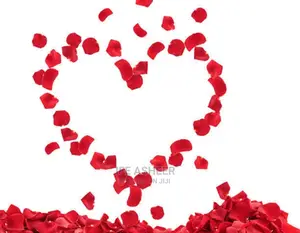 Red and White Petals - 300pcs