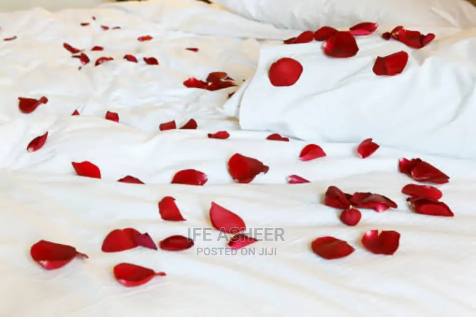 Red and White Petals - 300pcs