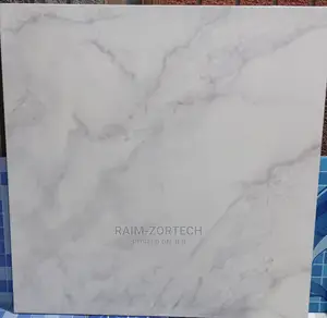 60x60 Floor Tile