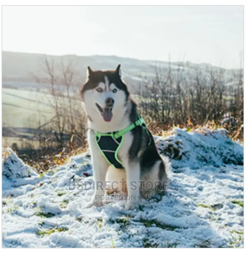 3 Peaks Grey SMALL X- Trail Dog Reflective Trim Harness
