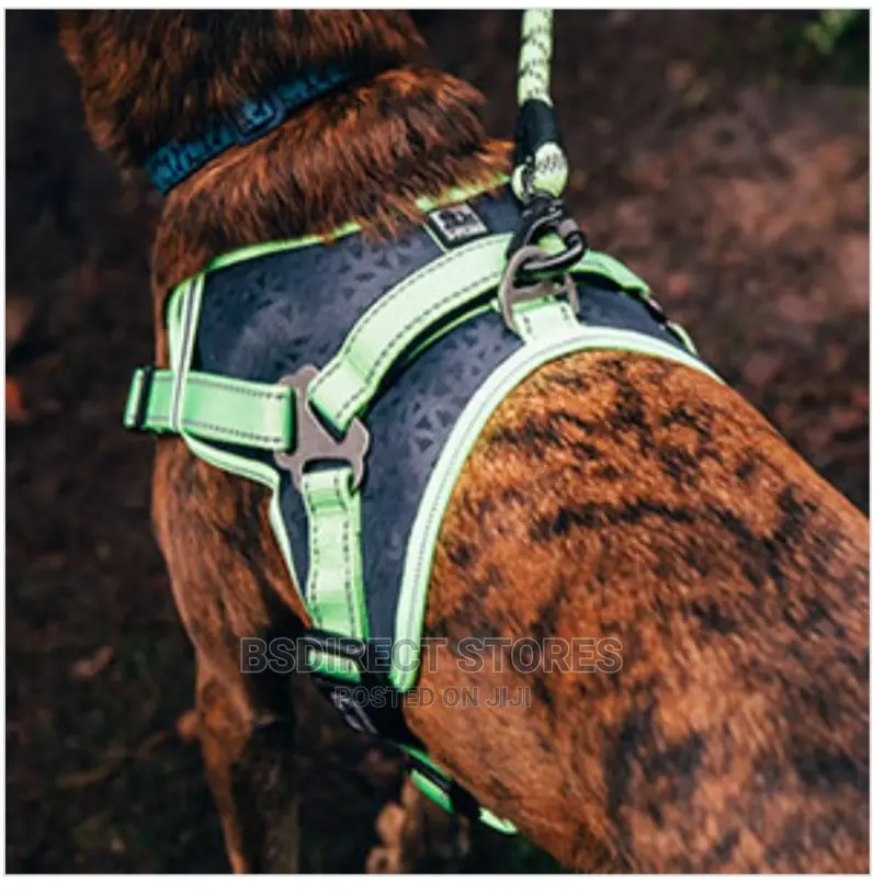 3 Peaks Grey SMALL X- Trail Dog Reflective Trim Harness