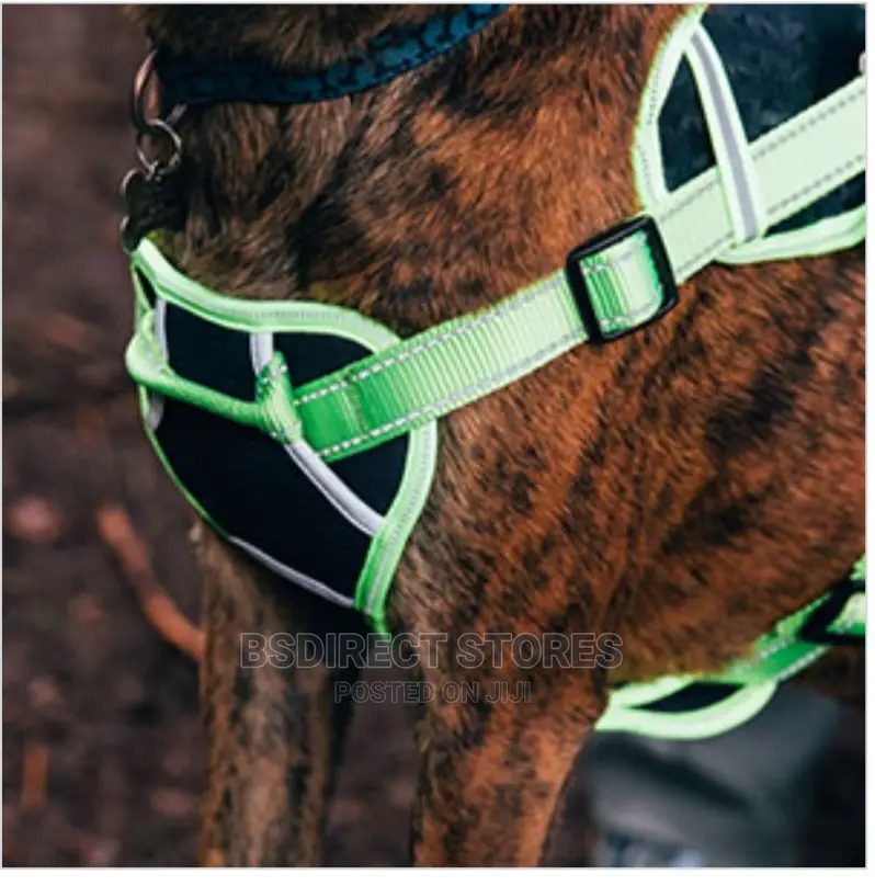 3 Peaks Grey SMALL X- Trail Dog Reflective Trim Harness