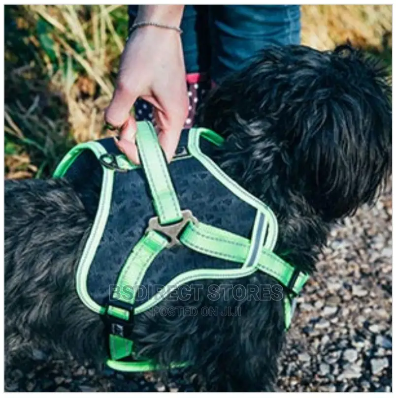 3 Peaks Grey SMALL X- Trail Dog Reflective Trim Harness