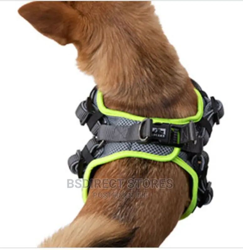3 Peaks Grey LARGE Lightweight Step- In Reflective Harness