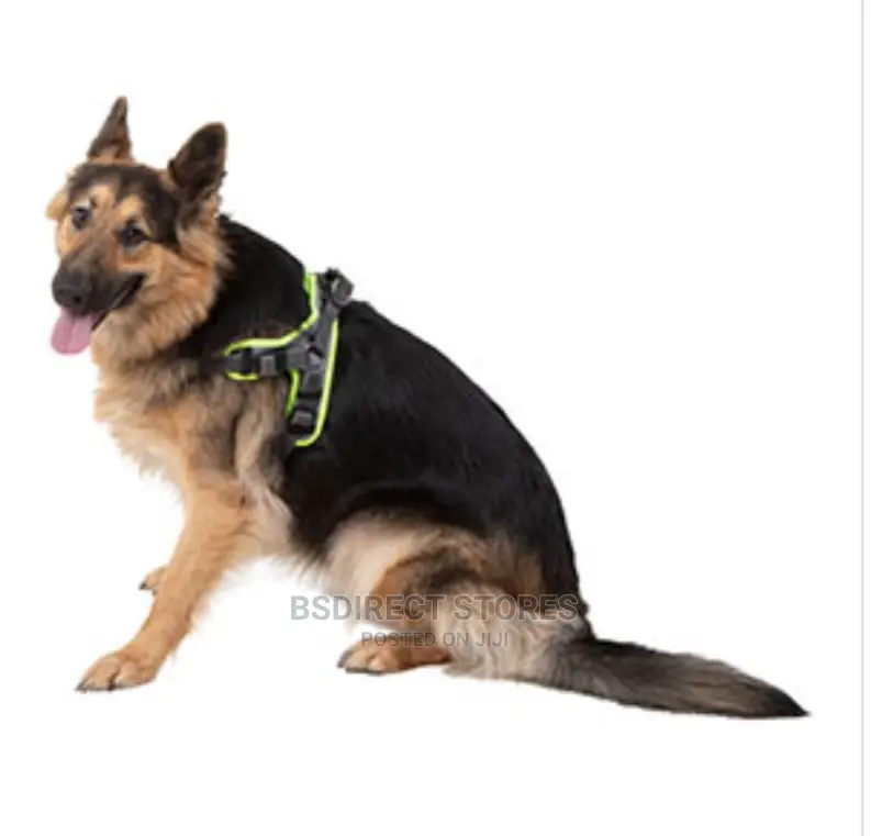 3 Peaks Grey LARGE Lightweight Step- In Reflective Harness