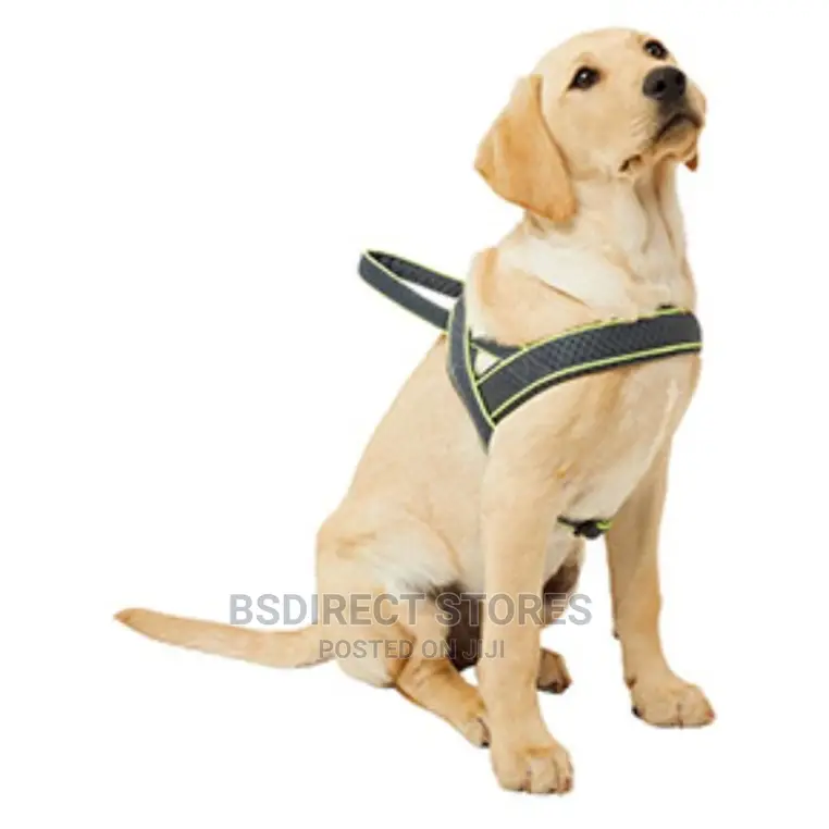 3 Peak SMALL Reflective Vision Padded Dog Harness Navy/Grey