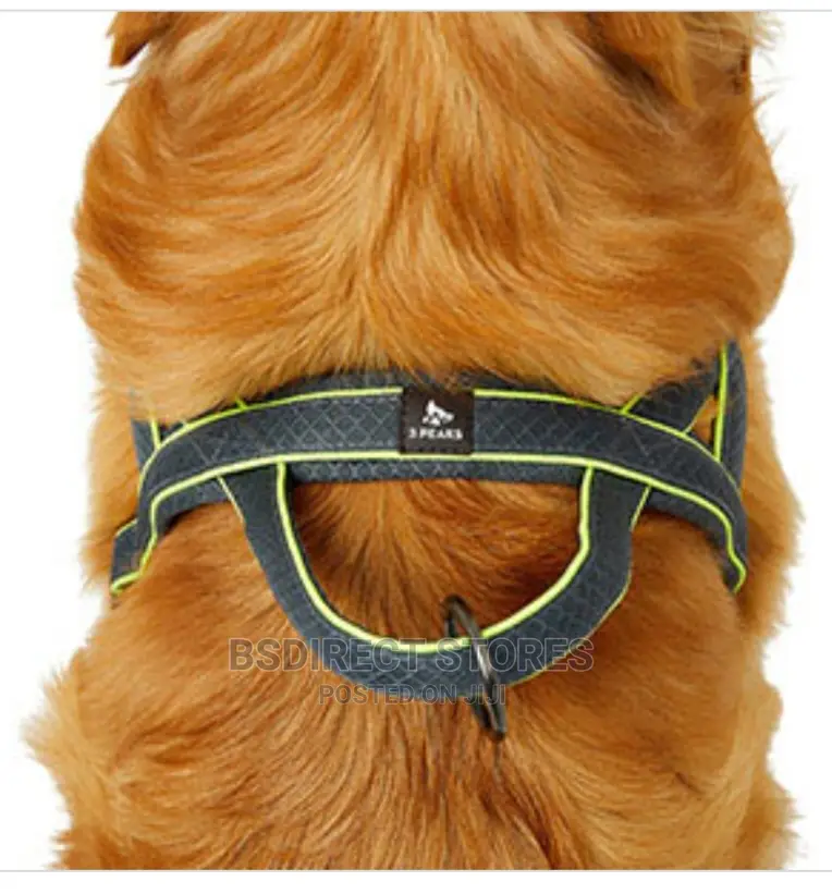 3 Peak SMALL Reflective Vision Padded Dog Harness Navy/Grey