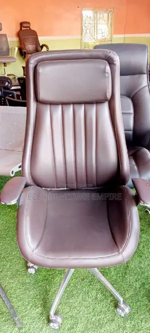 Director Office Chair