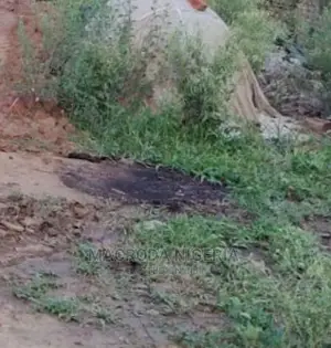 A Demolishable Bungalow on a Plot of Land at Ojota