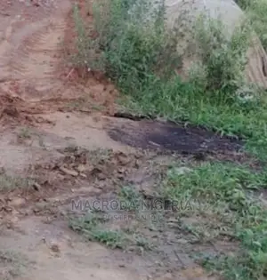 2plots at Ogudu Orioke, Ogudu