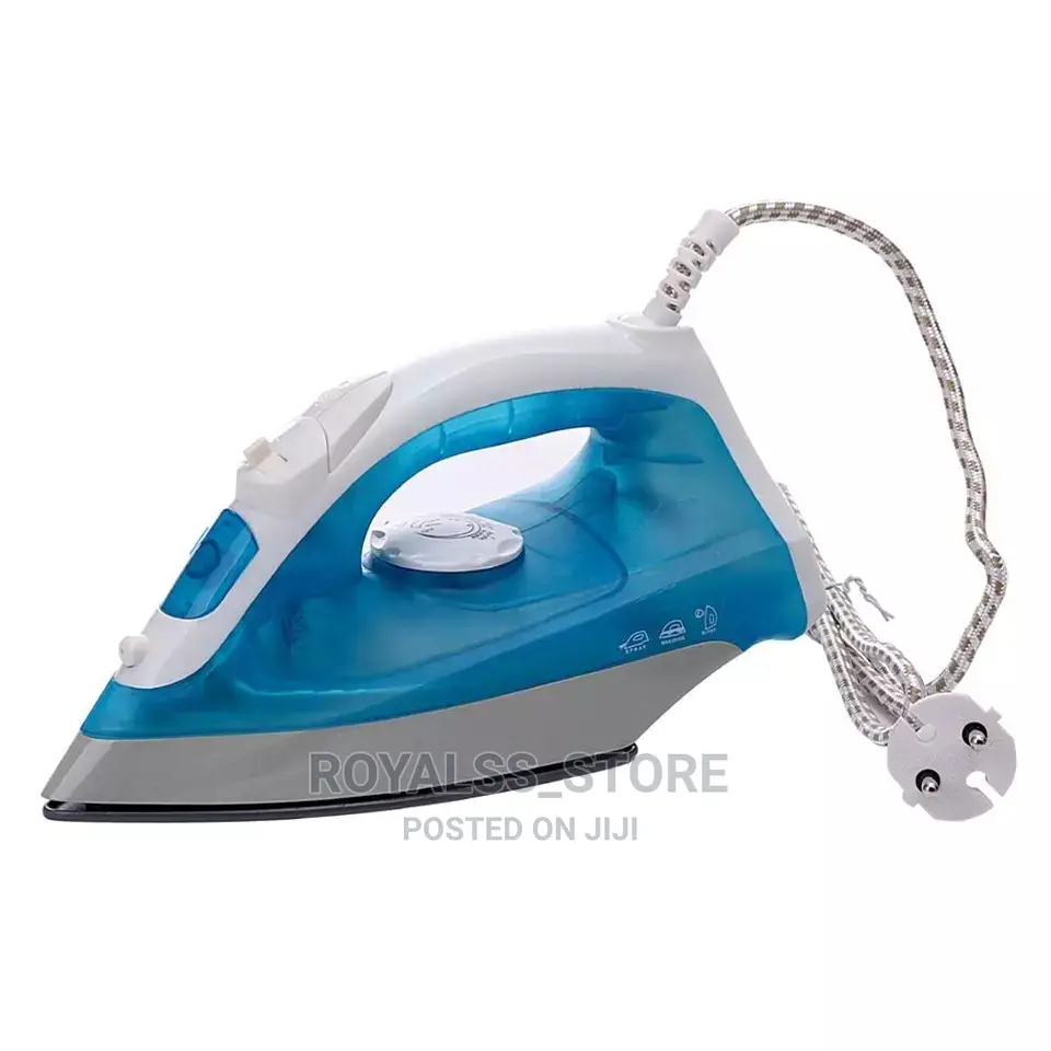 Electric Steam Iron