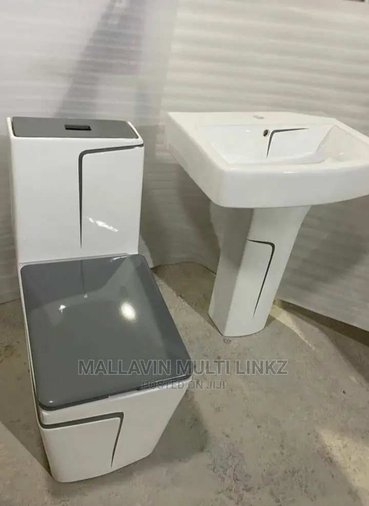 Executive One-Piece Wc ( Sets)