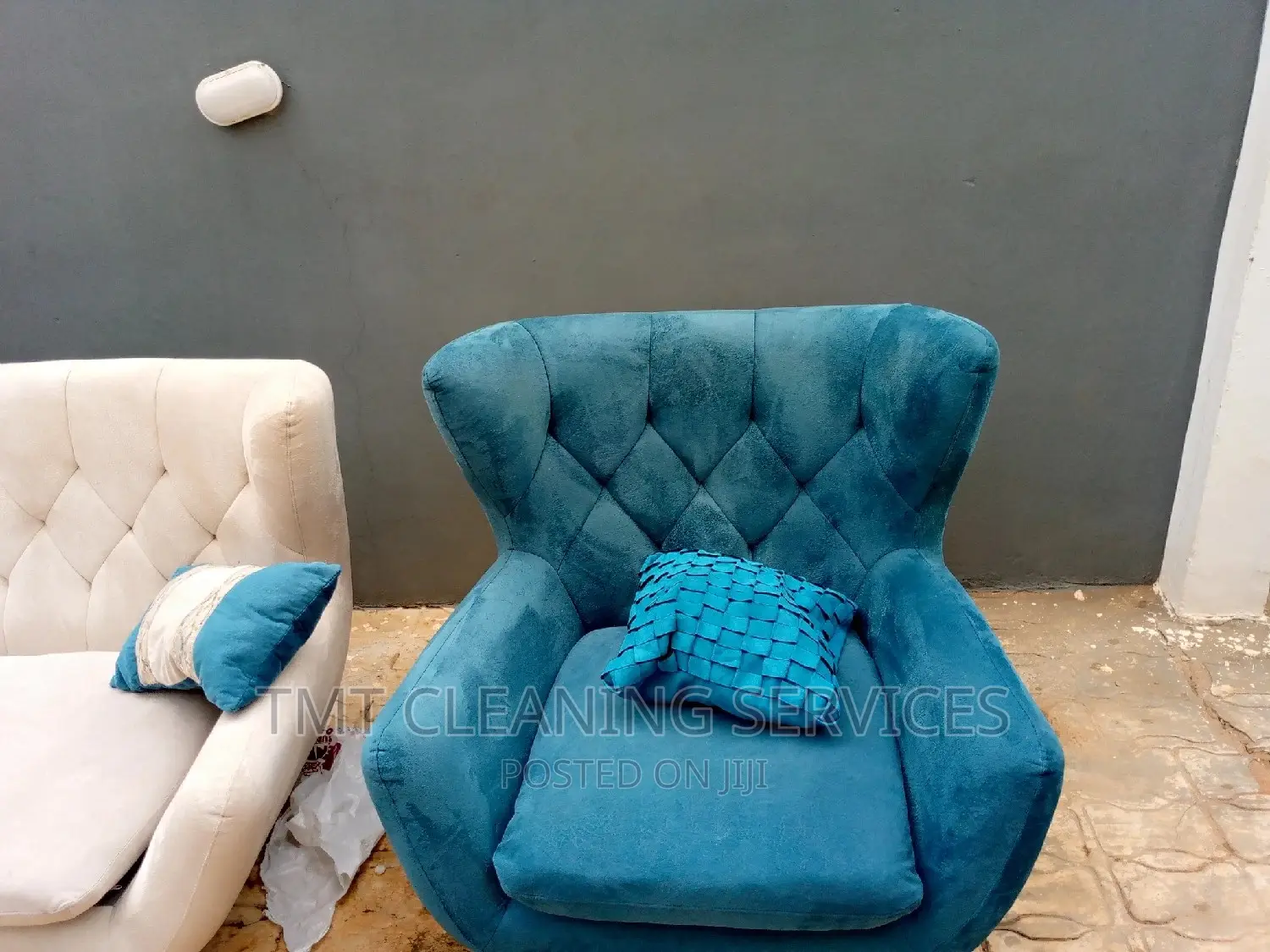 Cleaning Rugs Nd Sofa