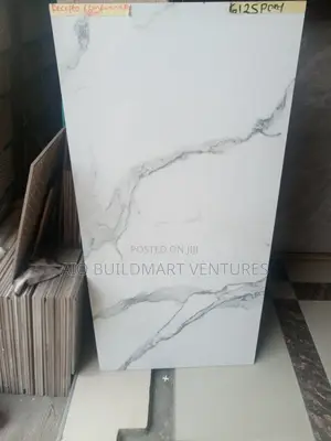 60 X 120 Floor Tiles