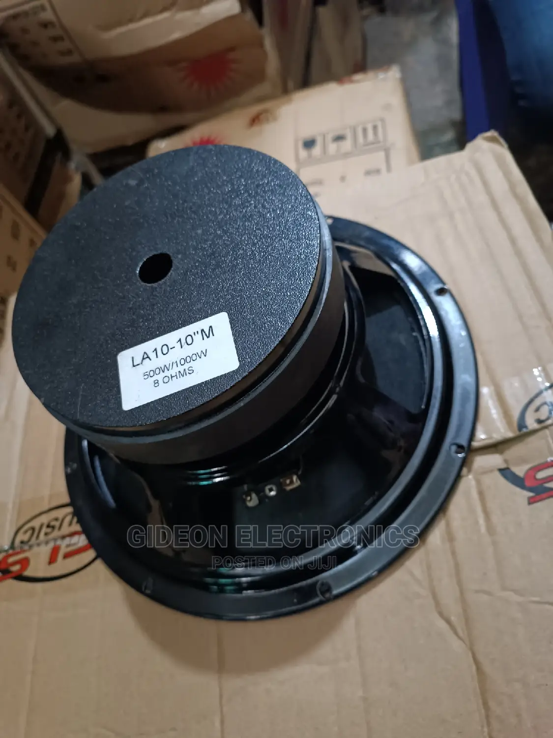 Titanic 10" Line Array Speaker