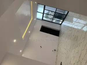 Professional Painter