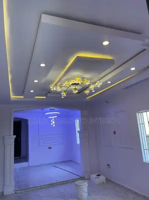 Professional Painter