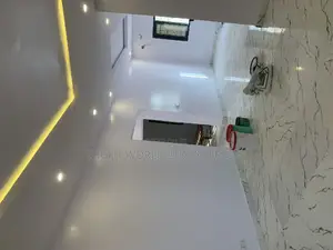 Professional Painter