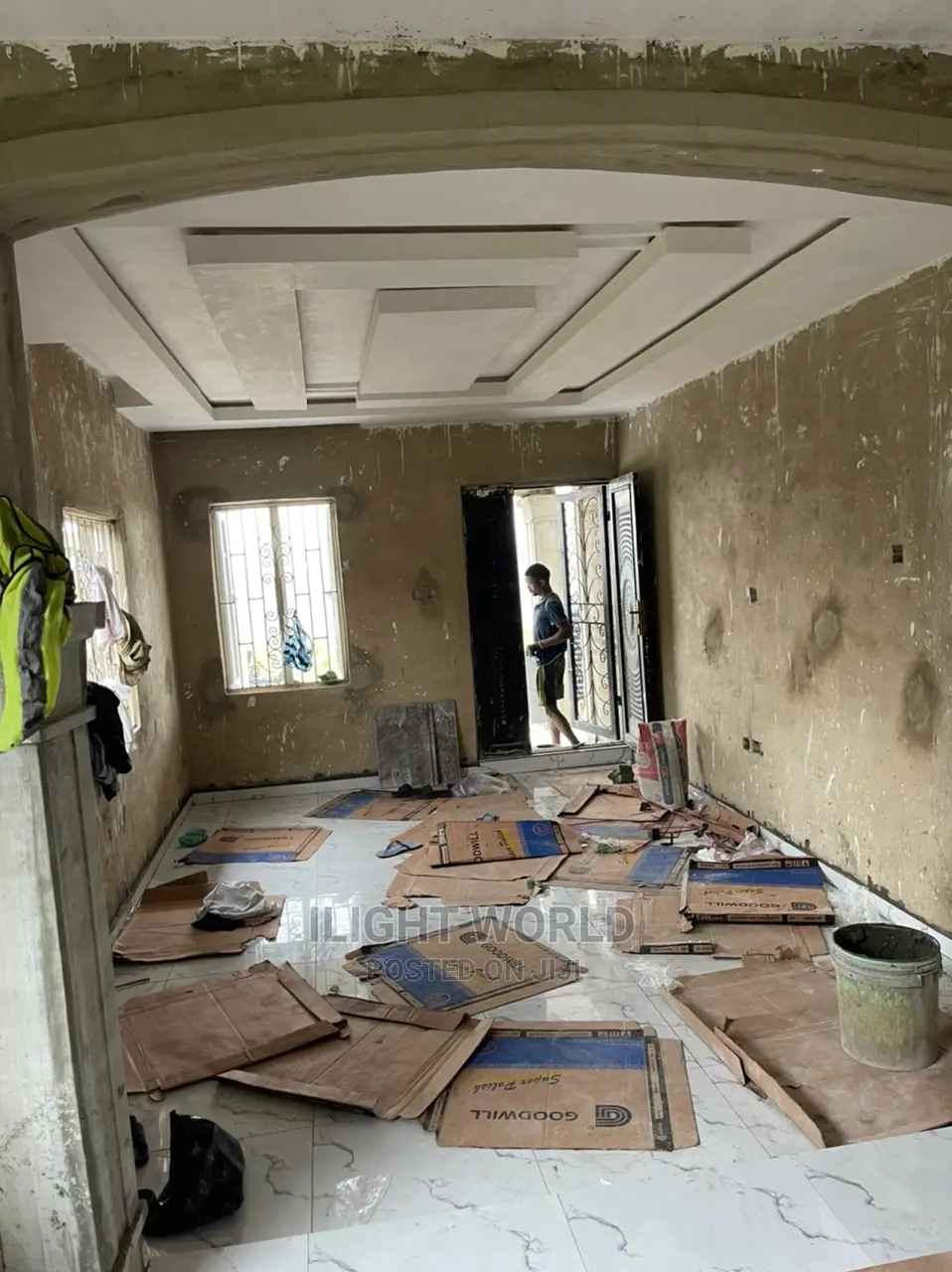 Professional Painter